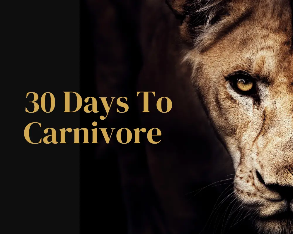 30 Days to Carnivore Course — Kiltz Health wellness resource